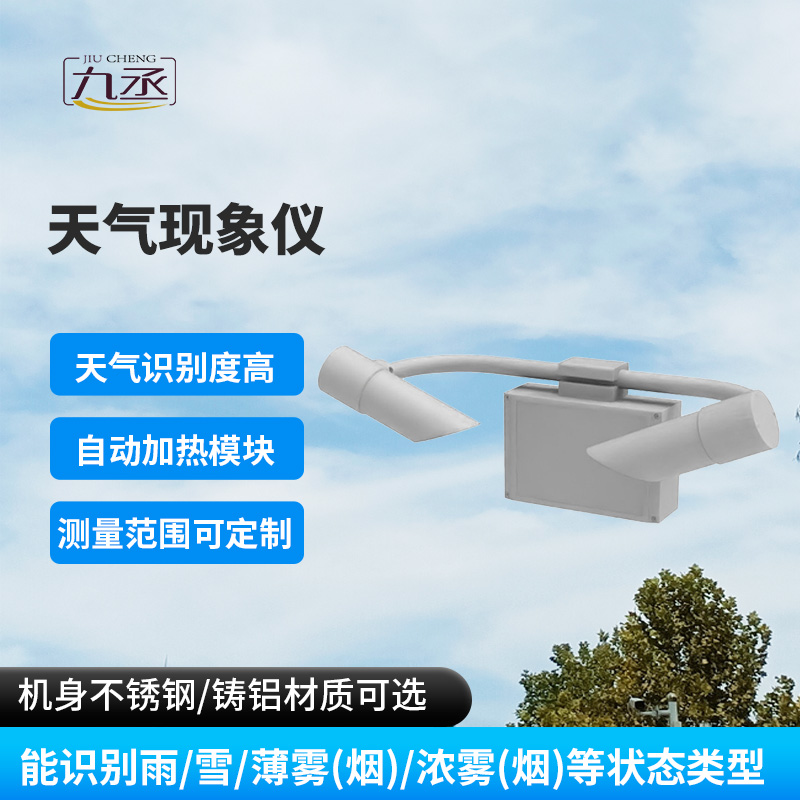 天氣現象檢測器